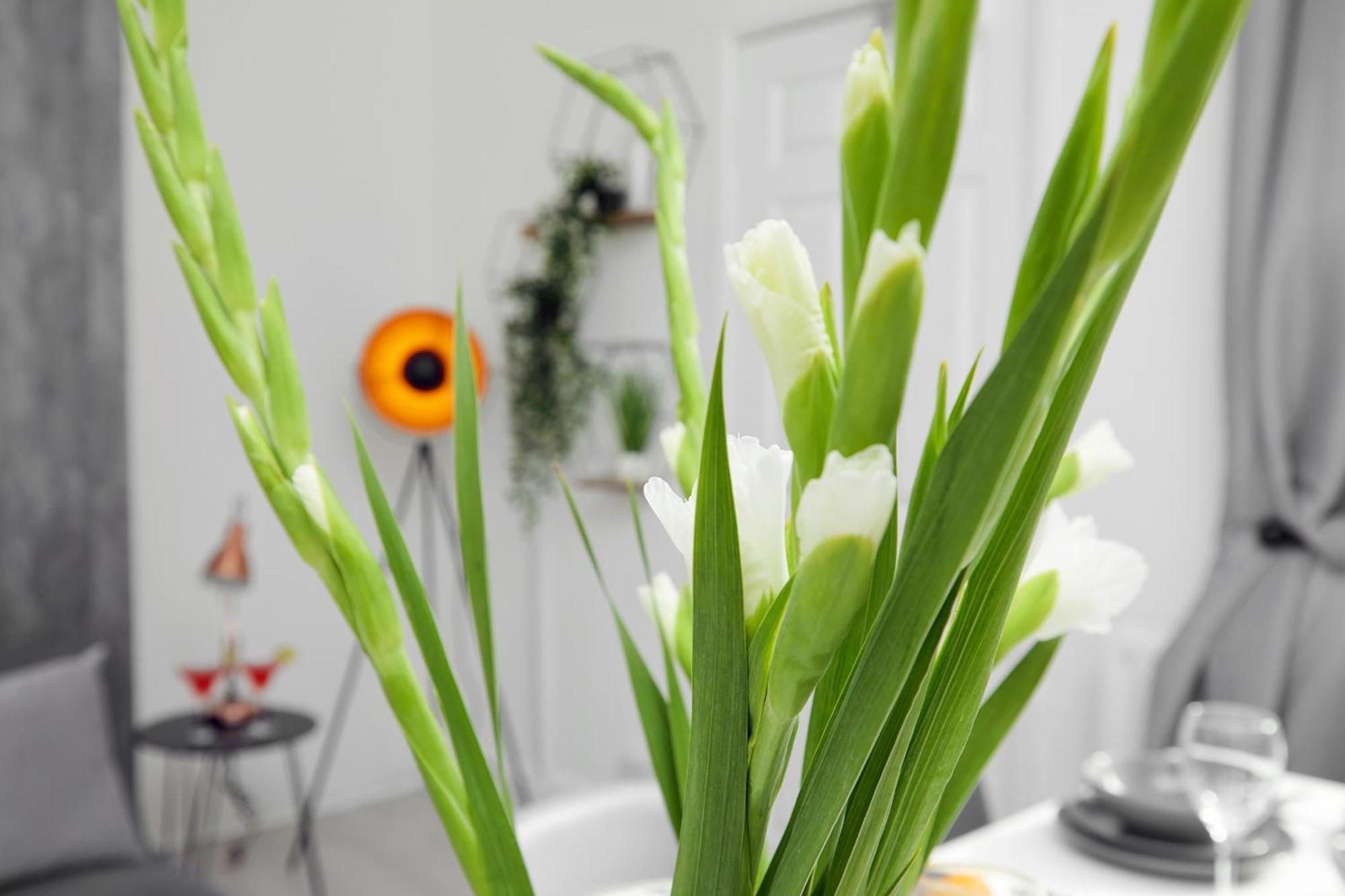 Your Sheffield Stays - Spacious 5 Bedroom House 客房 照片